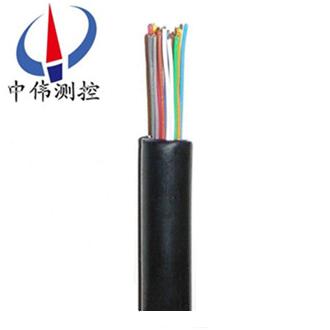 聚乙烯(xi)絕緣導引電纜
