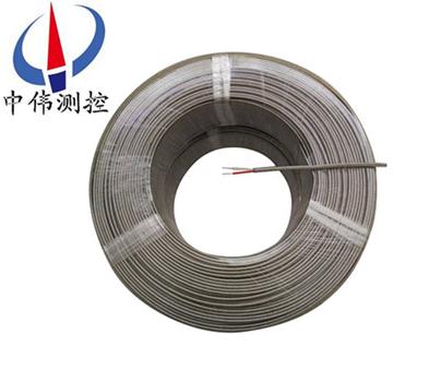 耐(nai)熱500℃儀錶專用線