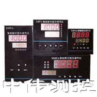 智(zhi)能數字顯示(shi)調節儀