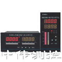 智能雙輸入顯示(shi)調節儀